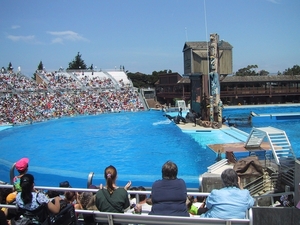 Seaworld San Diego