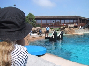 Seaworld San Diego