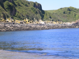 Aankomst Caldey island