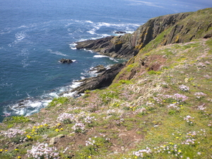 Kliffen Caldey Island