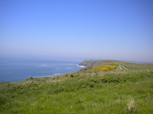 Panorama Caldey Island