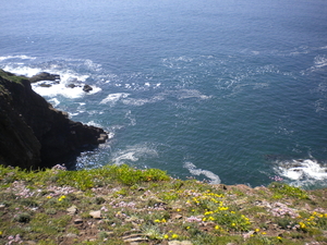 Kliffen Caldey Island