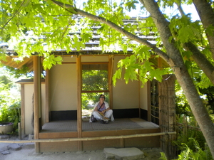National Botanic Garden/Japanse tempel
