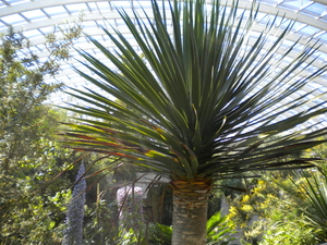 National Botanic Garden/Serre