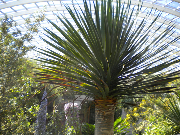 National Botanic Garden/Serre