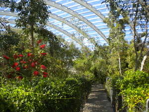 National Botanic Garden/Serre