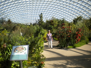 National Botanic Garden/Serre