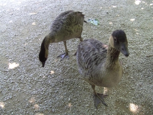 20100625 178