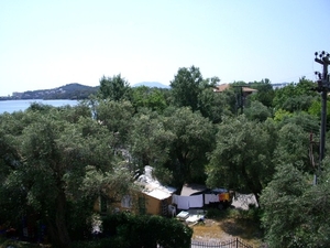 griekenland corfu tussen groen