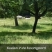 P1020497kopie