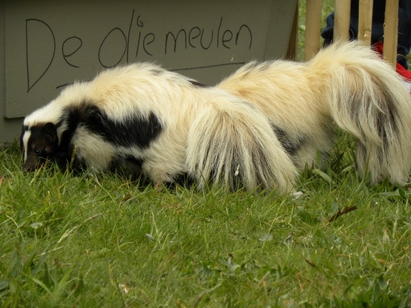 08 DSCN0835