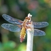 20100602_41