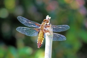 20100602_41