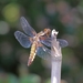 20100602_43