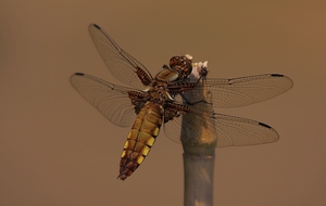 20100602_22