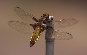 20100602_19