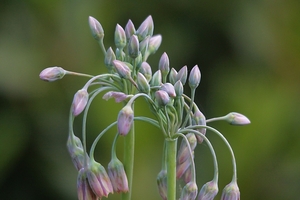 20100602_26