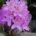 20100602_27