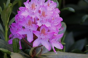20100602_27
