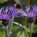 20100522_13