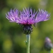 20100522_28