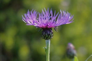 20100522_28