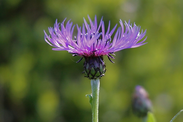 20100522_28