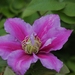 20100531_12