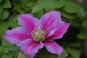 20100531_12