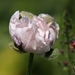 20100617_7