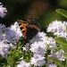 20100617_20