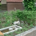 DSC07657