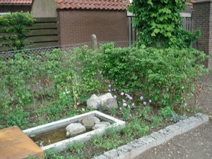 DSC07657
