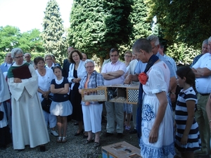 DSC07850