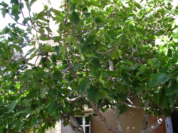 P1030840