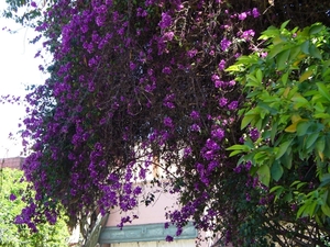 P1040063