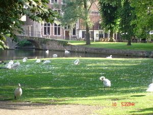 Brugge 26 juni 2010 003