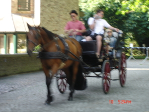 Brugge 26 juni 2010 004