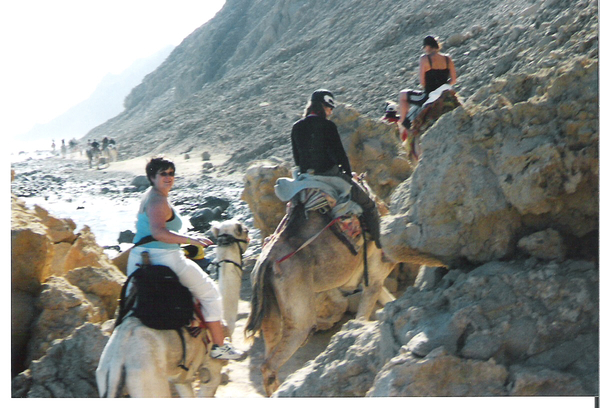 kamelentocht door de woestijn