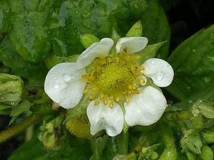 IMGP5866
