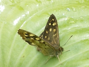 IMGP5870