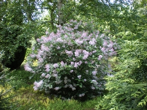 IMGP5894