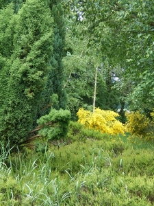 IMGP5896