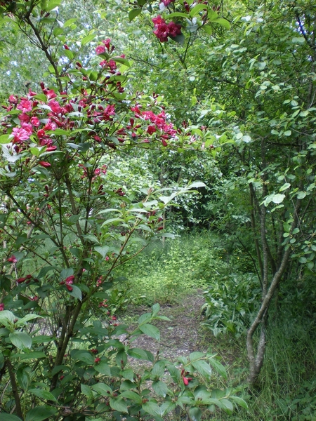 IMGP5911