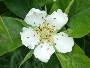 IMGP5916