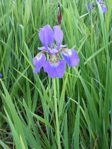 IMGP6023
