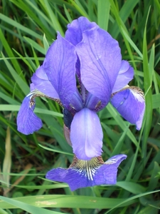 IMGP6029