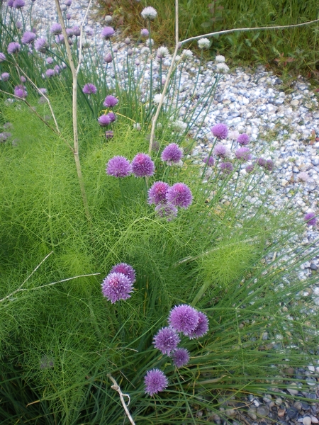 IMGP6051