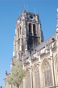 Tongeren kathedraal