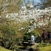 Japanse tuin Hasselt